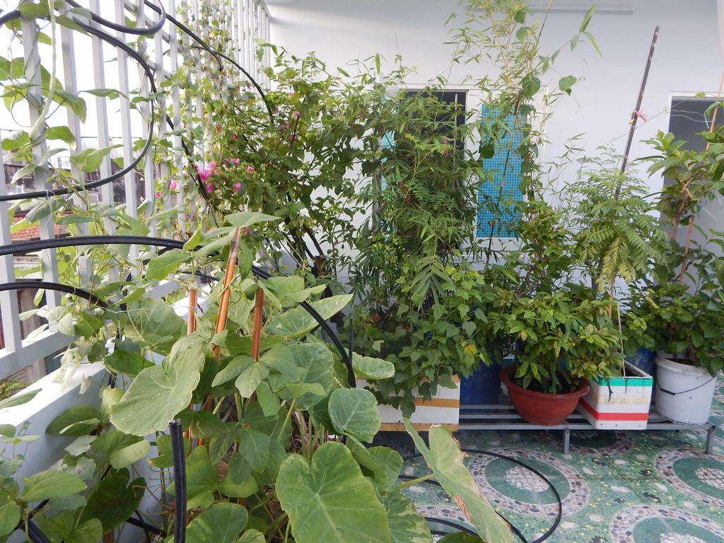 Homestay 37 Ad Cidade de Ho Chi Minh Exterior foto